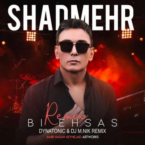 Bi Ehsas (Dynatonic & DJ M.Nik Remix)